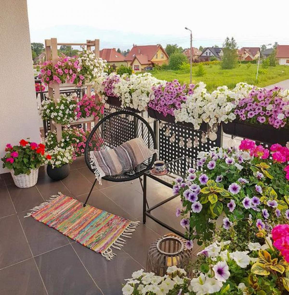 Flori în ghiveci care rezistă la soare! Sunt perfecte pentru balcon