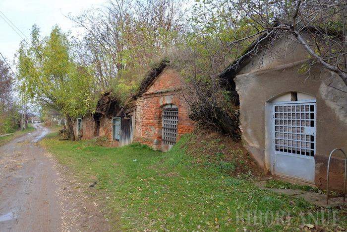Satul din România cu 1000 de pivnițe. Ai știut de el? De ce sunt unice și ce au ascuns localnicii aici sute de ani / FOTO