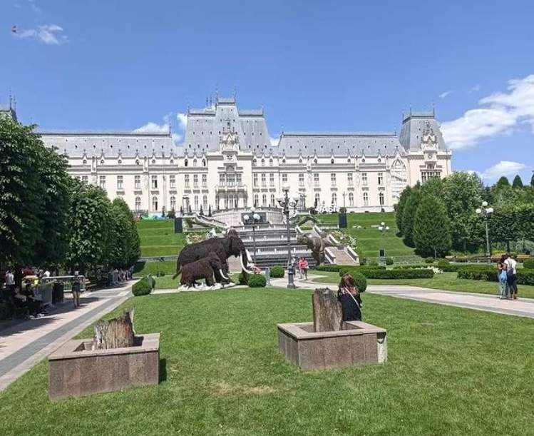 iasi