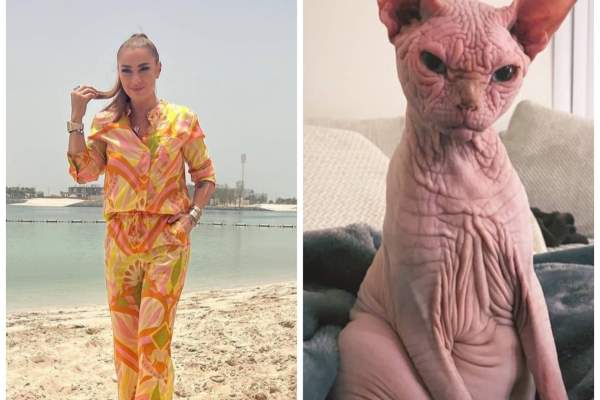 Cât costă o pisică din rasa Sfinx. Animalul de companie preferat al Anamariei Prodan