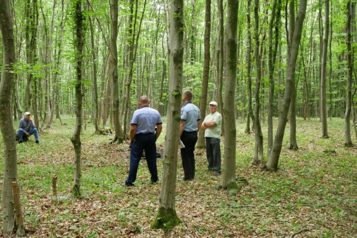 Caz Botoșani Moarte misterioasă în Botoșani. Un funcţionar public, tată a doi copii, a fost găsit carbonizat într-o pădure / FOTO