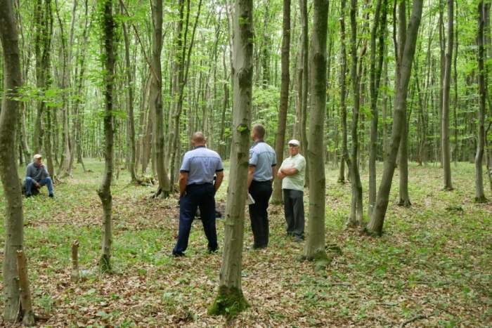 Moarte misterioasă în Botoșani. Un funcţionar public, tată a doi copii, a fost găsit carbonizat într-o pădure / FOTO