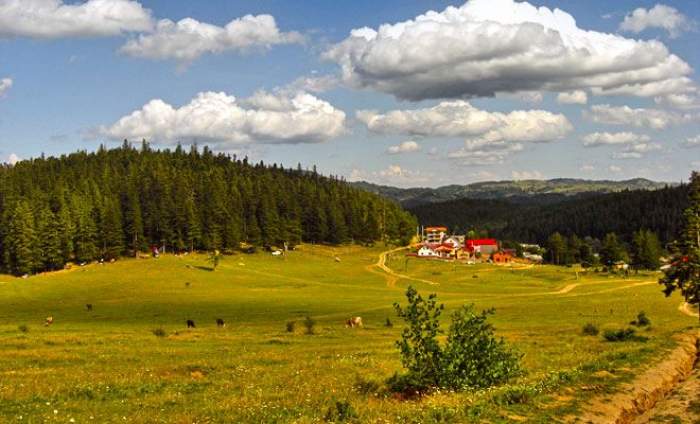 Stațiunea din România care are cel mai ozonat aer din Europa. Nici nu ai știut de ea! Imaginile sunt de vis când ajungi aici