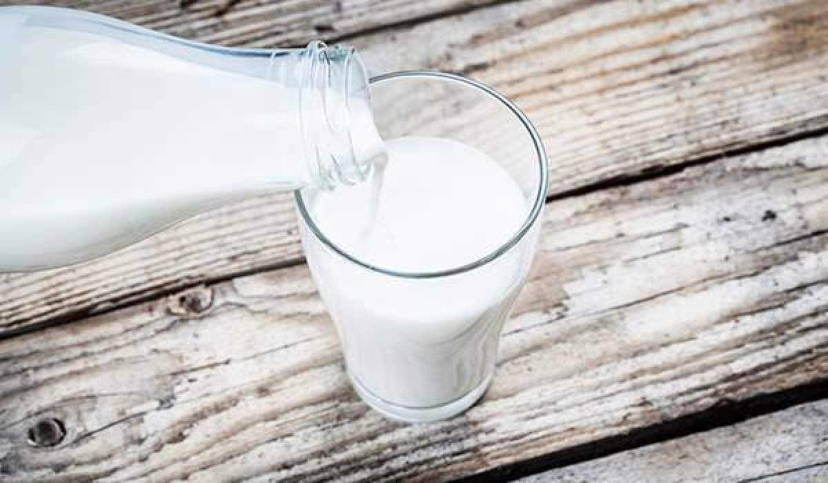 Ce se întâmplă dacă bei lapte zilnic. Efectele uimitoare asupra organismului uman