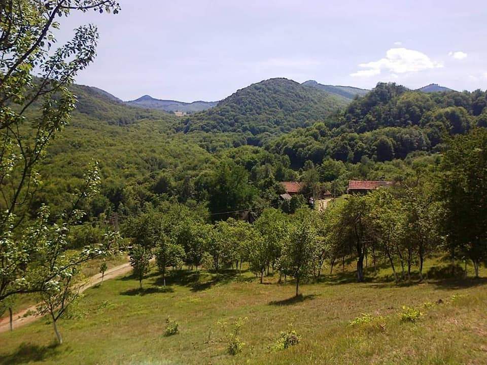 Satul din România cu un singur locuitor a fost cumpărat! Zeci de case și sute de hectare au costat... cât un apartament! / FOTO