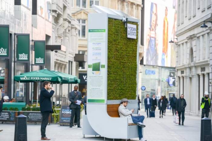 Orașul din România unde găsești primul "copac inteligent". Cum arată și ce face el pentru sănătatea omului