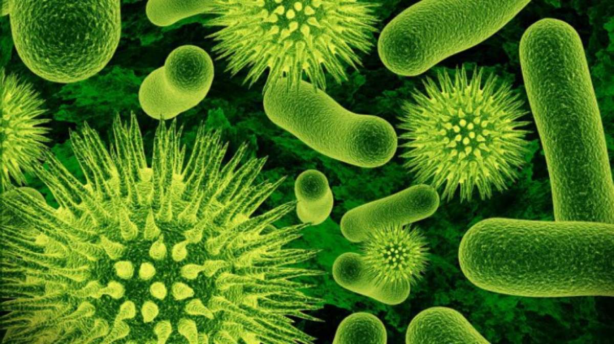 O nouă bacterie periculoasă descoperită în Wuhan, China! Autoritățile trag un semnal de alarmă