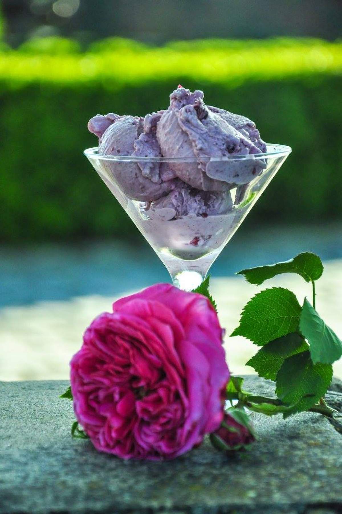 Înghețată de trandafiri. O rețetă specială, care îți va încânta papilele gustative