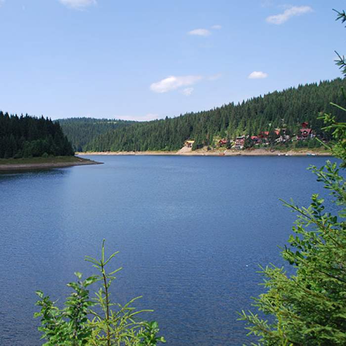 Lacul din România care a secat vara aceasta din cauza temperaturilor extreme. Canicula și-a pus amprenta asupra naturii / FOTO