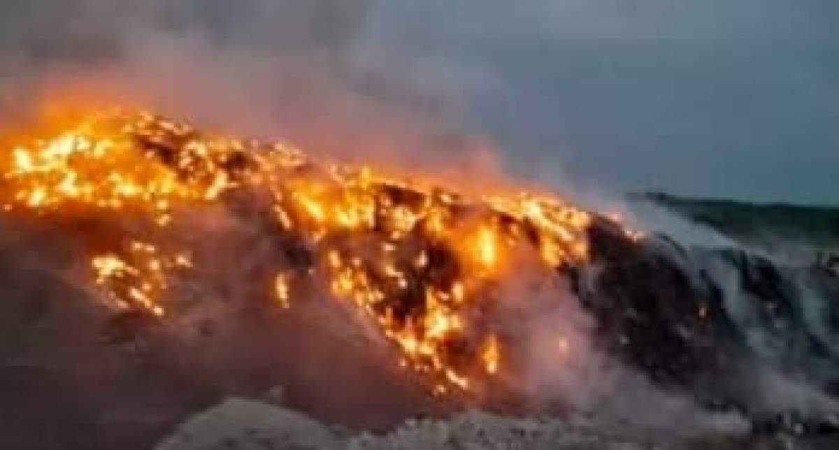 Incendiu puternic la groapa de gunoi a orașului Băicoi. Flăcările s-au declanșat din cauza unei țigări aprinse / FOTO