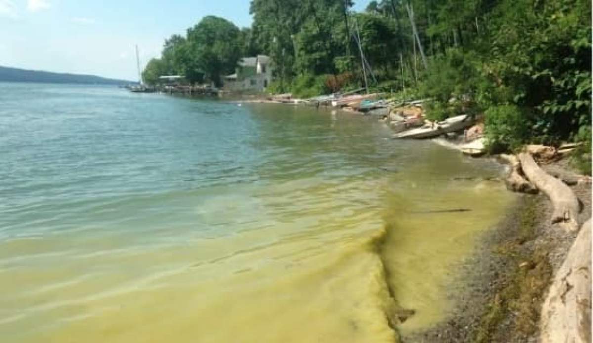 Plajă din Grecia Plaja din Grecia unde apa s-a îngălbenit. Cum se explică acest fenomen: „Nu faceți baie!”