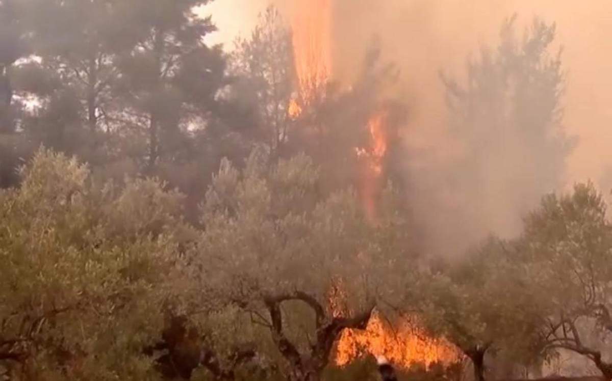 Avertizare pentru românii care merg în vacanță în Grecia. Incendii uriașe de vegetație în mai multe zone