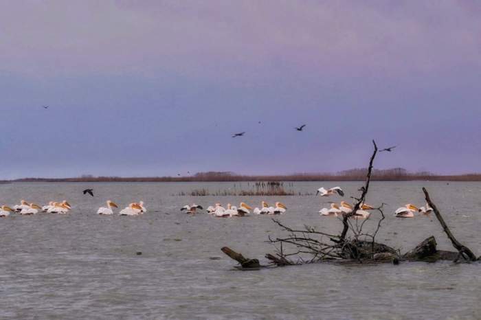 "Satul lui Dumnezeu" din România. Locul unde Dunărea și Marea Neagră se îmbrățișează, iar pe plaja sălbatică încă sunt liberi caii / FOTO