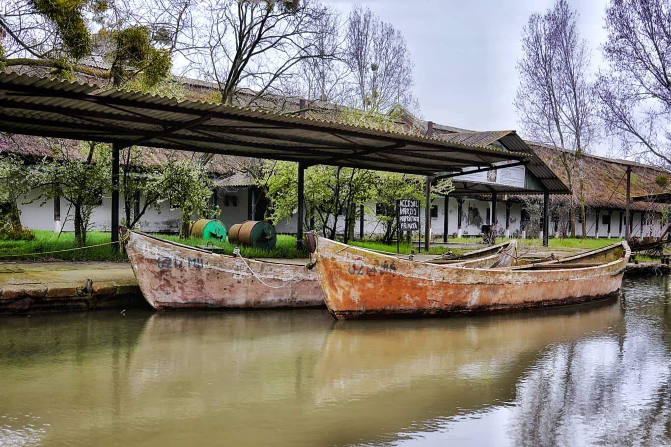 "Satul lui Dumnezeu" din România. Locul unde Dunărea și Marea Neagră se îmbrățișează, iar pe plaja sălbatică încă sunt liberi caii / FOTO