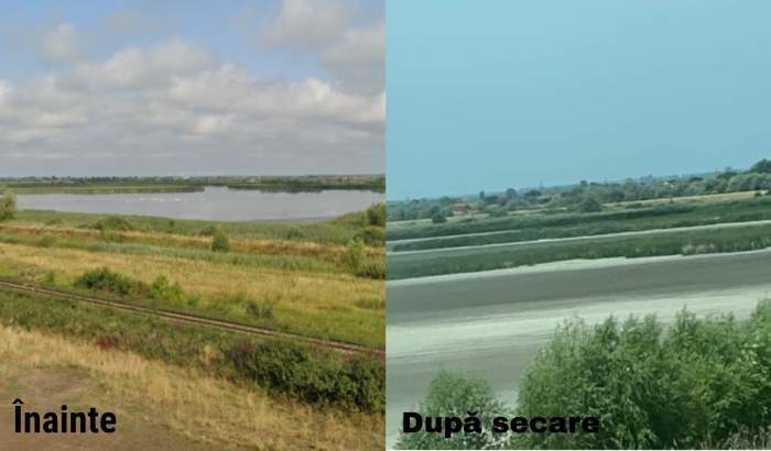 Un lac de peste 100 de HA din Satu Mare a secat din cauza secetei. Făcea parte din aria naturală protejată de interes internațional