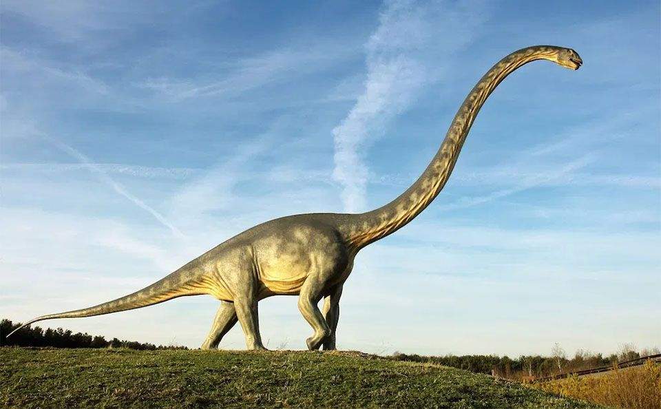 Locul din România unde au trăit dinozaurii! Ai știut de el? Este unic în estul Europei și face parte din patrimoniul UNESCO / FOTO