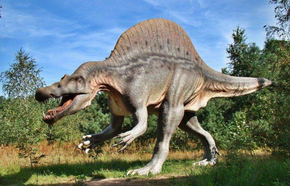 Locul din România unde au trăit dinozaurii! Ai știut de el? Este unic în estul Europei și face parte din patrimoniul UNESCO / FOTO