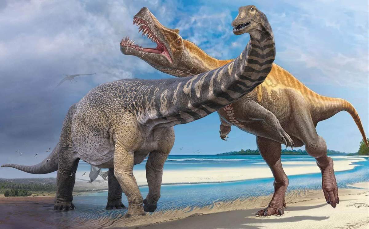 Locul din România unde au trăit dinozaurii! Ai știut de el? Este unic în estul Europei și face parte din patrimoniul UNESCO / FOTO