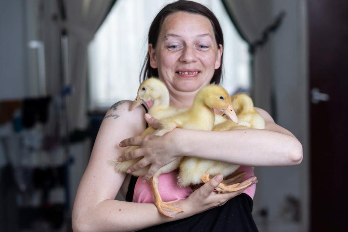 O femeie s-a ales cu 3 pui de rață, după ce a cumpărat ouă de la supermarket: “E atât de nebunesc” / FOTO