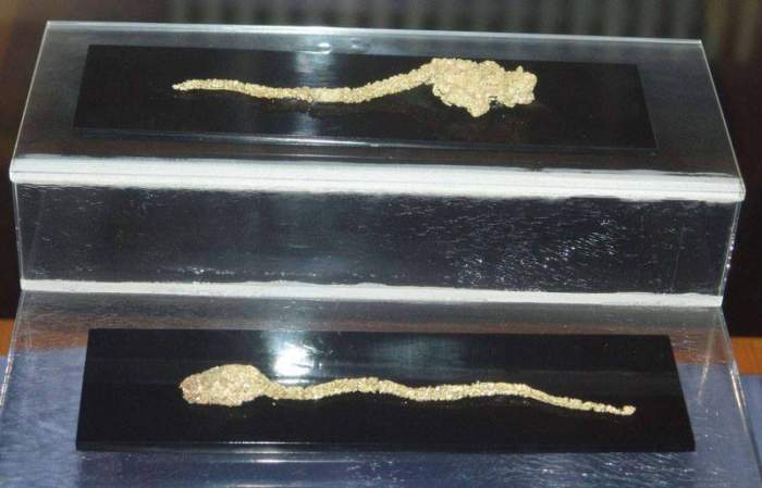 Locul din România unde a fost descoperit cel mai mare bulgăre de aur din Europa! Ce comoară se ascunde aici, sub pământuri! Oamenii s-au cutremurat când au văzut / FOTO