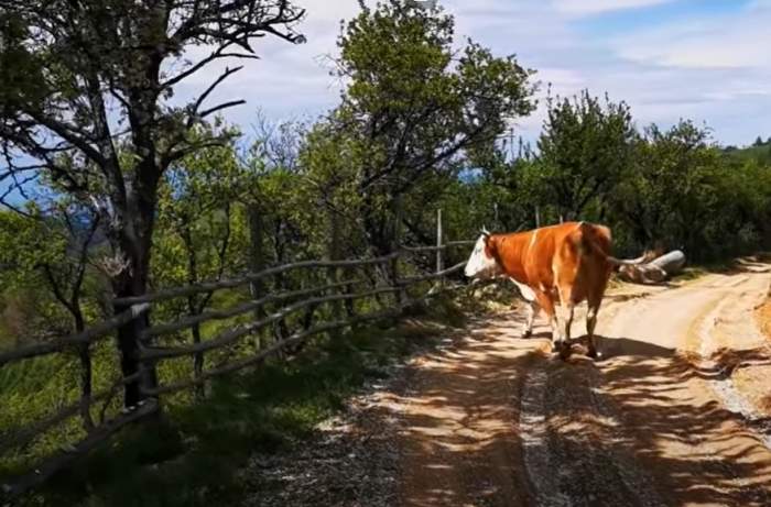 Singurul sat din România iluminat cu panouri solare. Micul paradis de pe ”târmul dacilor” e locuit de doar câteva persoane / FOTO