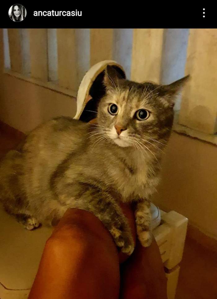 Anca Țurcașiu a dezvăluit  cine o face fericită: „De mult voiam să vă povestesc asta…”