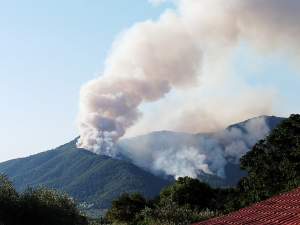 Incendiul violent de pe insula Thassos ar fi fost provocat intenționat. Suspectul principal este un bărbat de 65 de ani