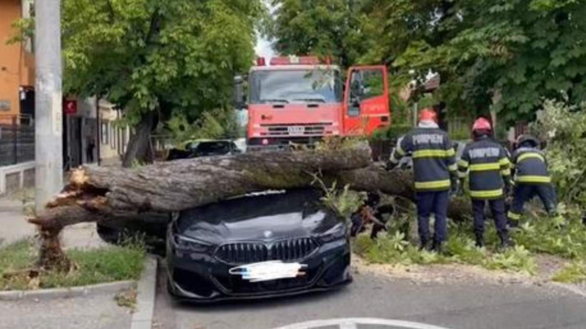 Pompierii au scăpat un copac pe un autoturism în valoare de peste 100.000 de euro, pe o stradă din Pitești: ”Puteam să jur că aşa se întâmplă!”