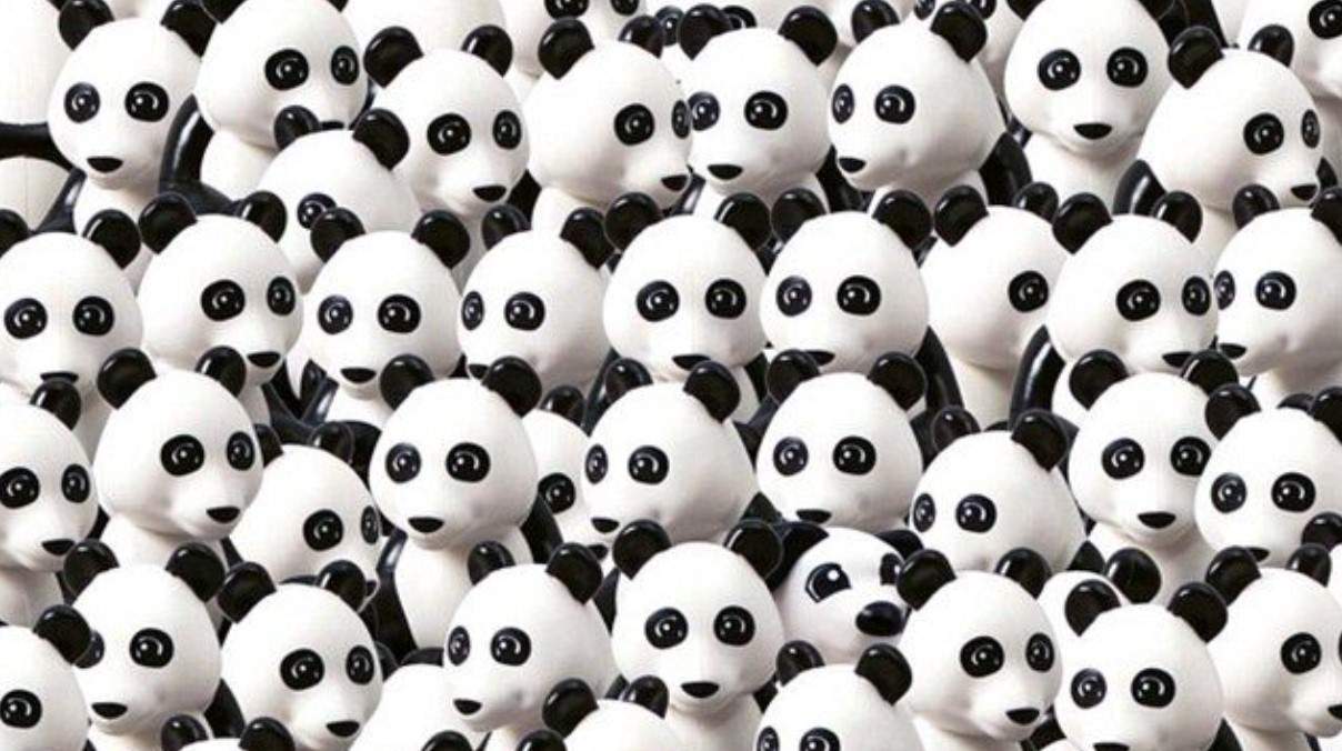 Iluzie optică. Poți găsi câinele ascuns între urșii panda?