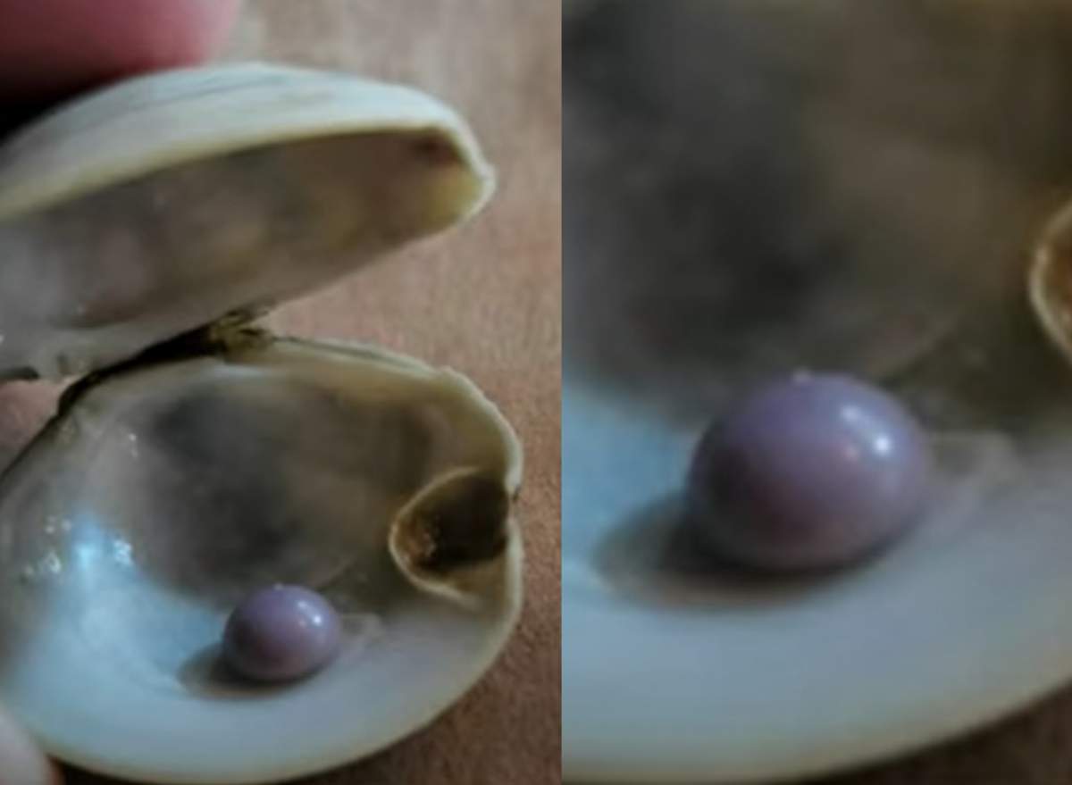 O perlă rară a fost găsită de un bărbat, într-o porție de scoici. Bijuteria ar putea valora mii de dolari