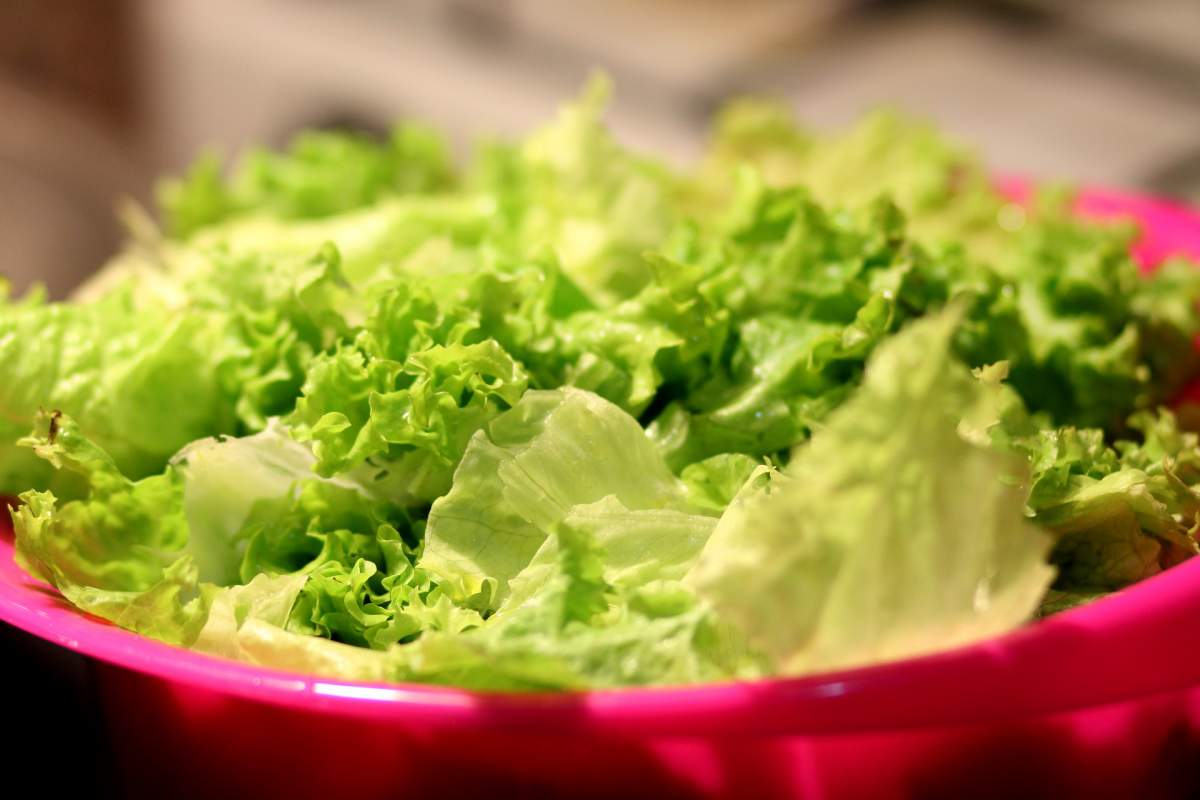 Cum să păstrezi salata verde la frigider o lună. Trucurile la care apelează gospodinele ca să evite frunzele ofilite