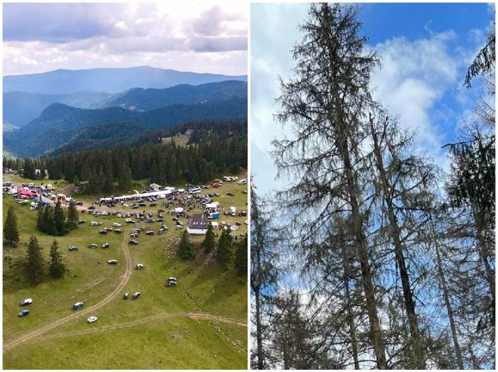 Colaj cu Parcul Natural Apsenui