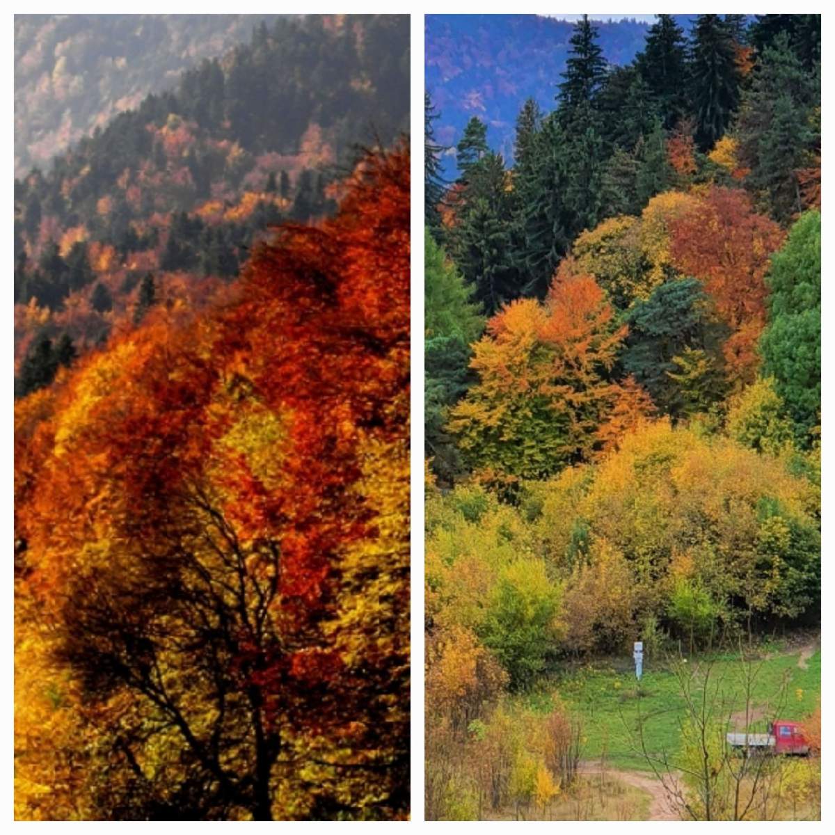 Locul din România care arată în plină vară ca toamna! Explicația specialiștilor / FOTO