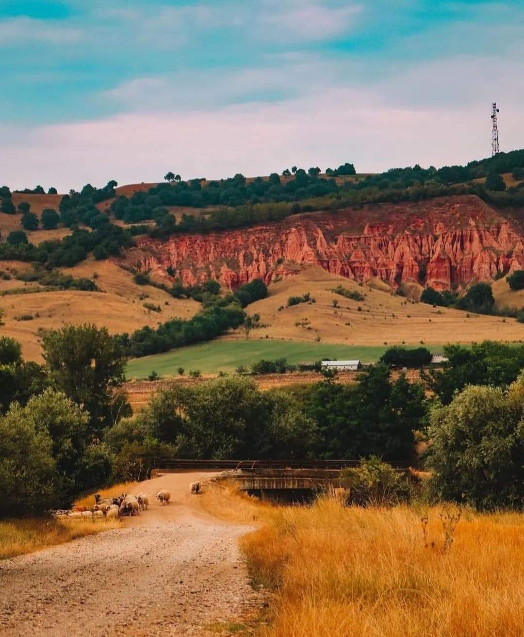Locul din țara noastră unde găsești „micul canion al României”. Este o rezervație naturală de vis. Tu ai știut de el? / FOTO