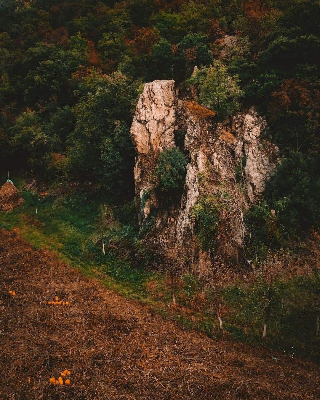 Locul din România unde găsești „stânca cu chip de om”. O lucrare spectaculoasă a naturii / FOTO