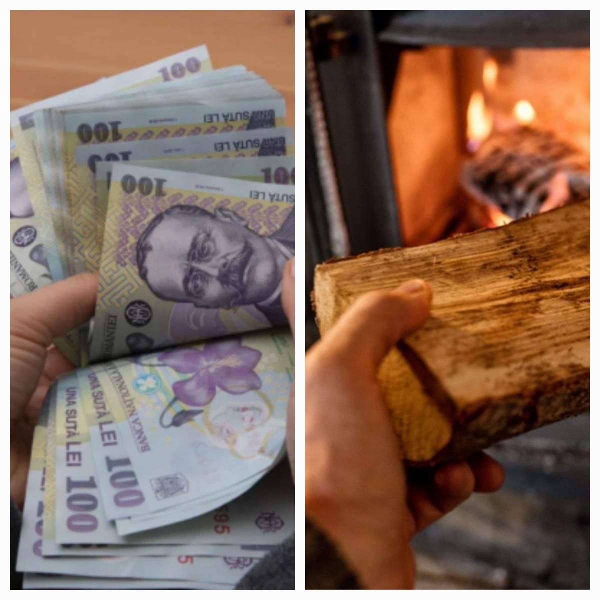 Vești bune pentru românii care se încălzesc cu lemne de foc! Vor primi bani de la stat