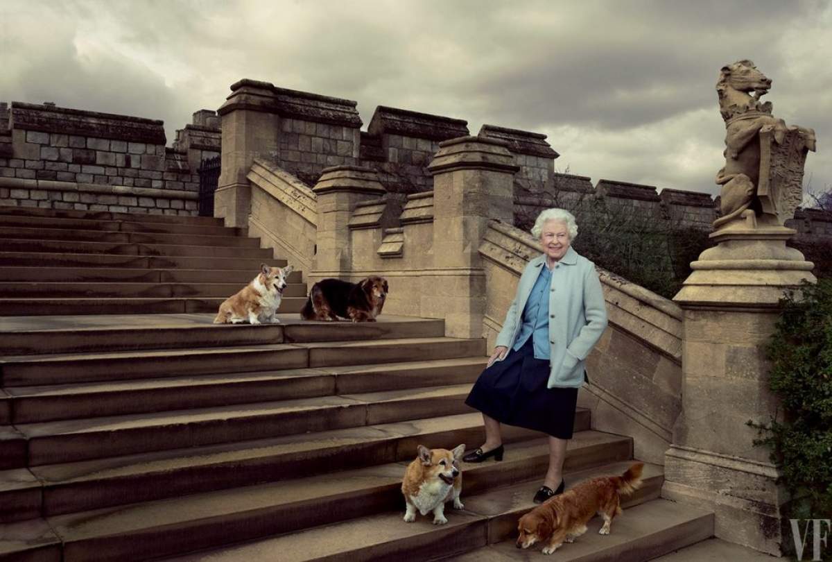 Ce se va întâmpla cu corgii Elisabetei a II-a. Regina a avut peste 30 de câini din această rasă