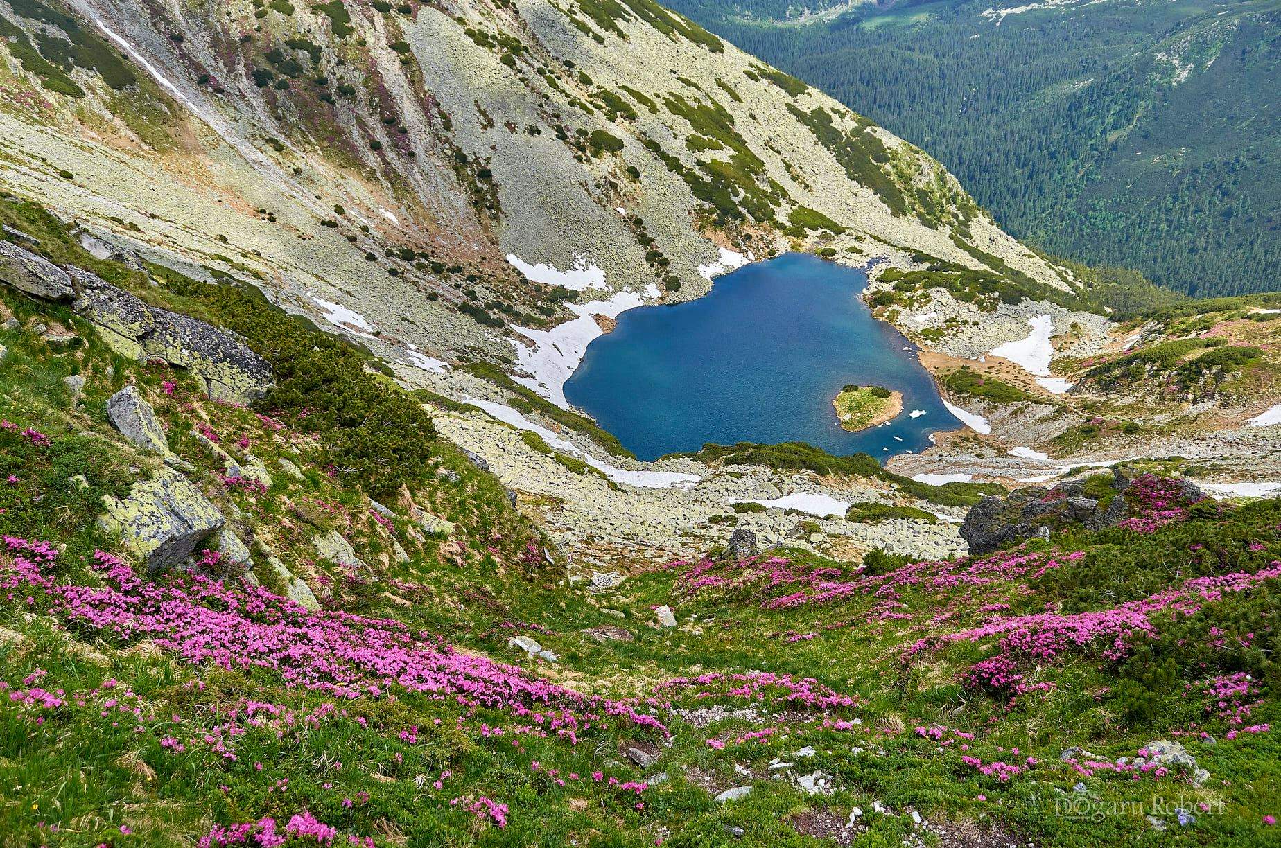 Locul din România interzis pentru oameni. Este superb, dar nimeni nu are voie să-l viziteze