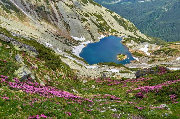 Locul din România interzis pentru oameni. Este superb, dar nimeni nu are voie să-l viziteze