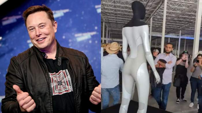 Elon Musk lansează roboții umanoizi Optimus, care gătesc și fac sex. Cum arată și când pot fi cumpărați