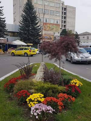 Orașul din România cu cel mai curat aer în 2022. Nume neașteptat! Nu este Brașov, Constanța sau Iași!