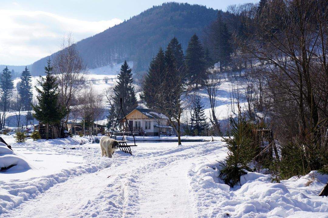 Locul din România unde este cel mai frig. Aici oamenii trăiesc ca în Alaska, la -30 de grade! Ai știut? / FOTO