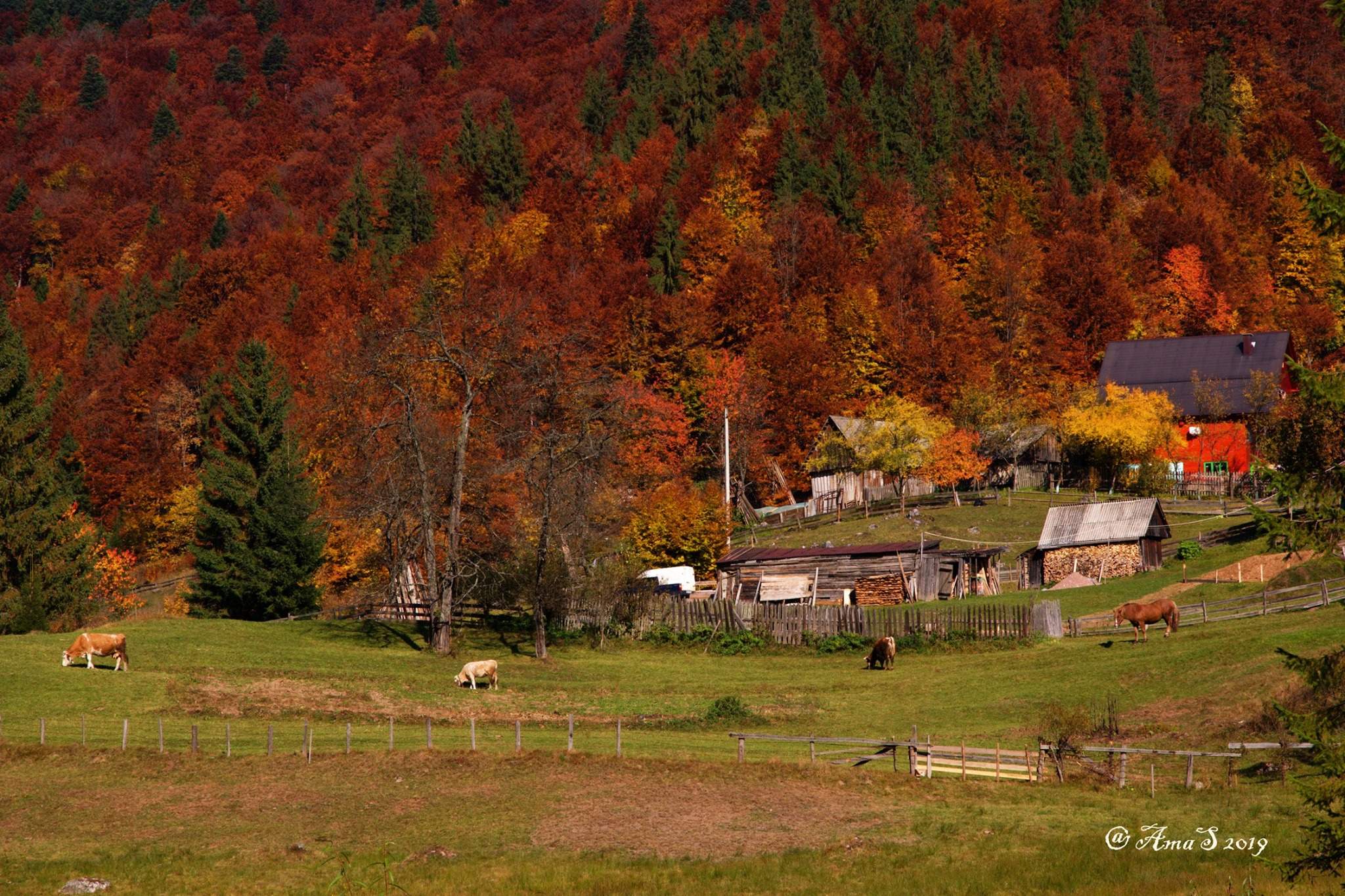 7 locuri de vizitat în octombrie. Cele mai frumoase destinații de toamnă din România