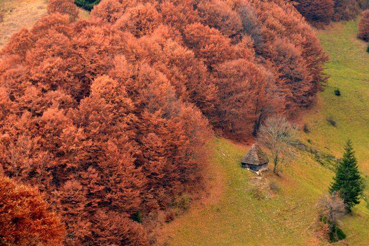 7 locuri de vizitat în octombrie. Cele mai frumoase destinații de toamnă din România