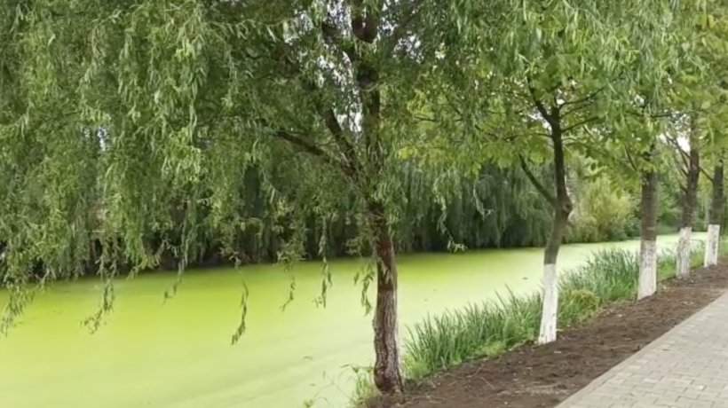Un râu din România și-a schimbat culoarea. Fenomenul a trezit îngrijorarea localnicilor