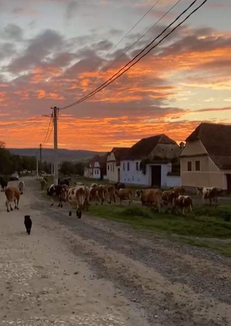 Satul din România unde Charles, Regele Angliei, și-a cumpărat casă și vine să-și găsească liniștea. Cum arată locul de vis / FOTO