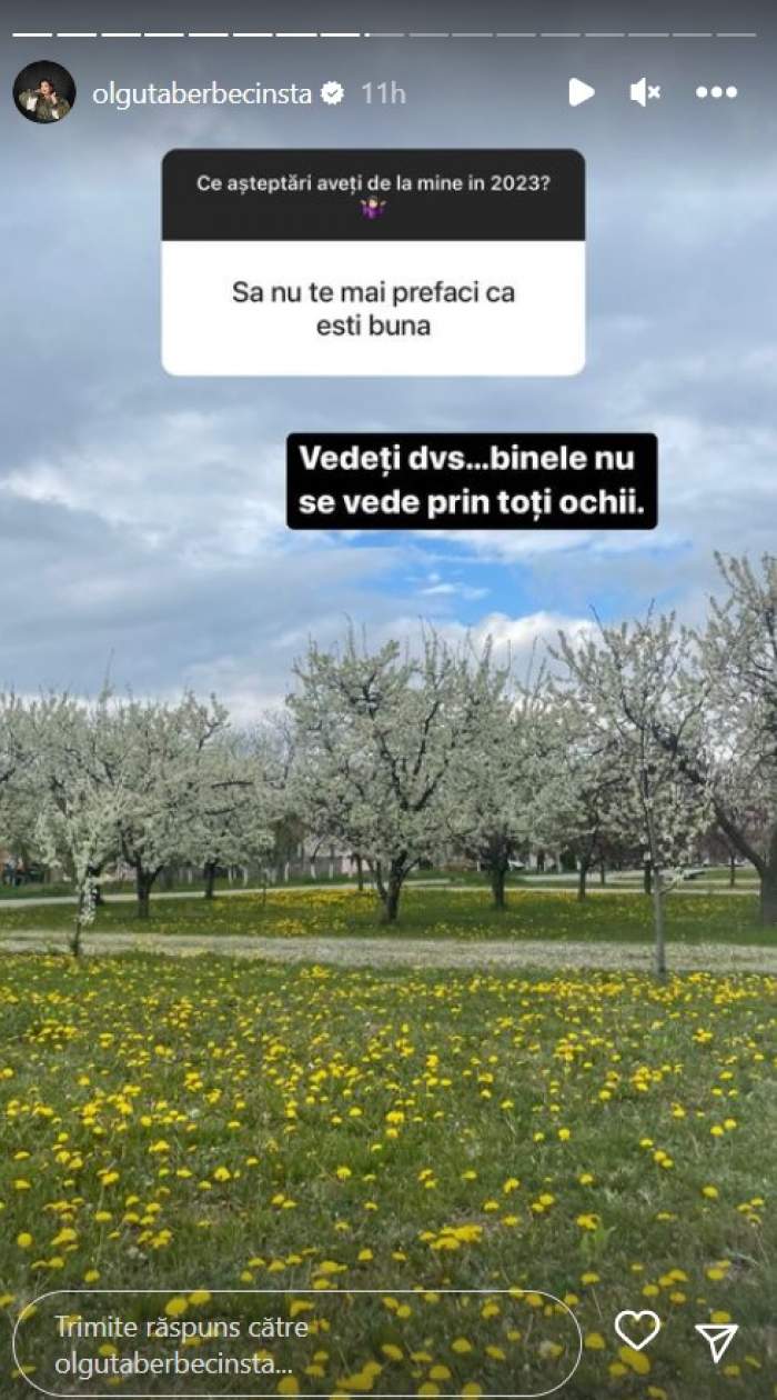 „Să nu te mai prefaci că ești bună”. Olguța Berbec, pusă la zid de un urmăritor din mediul online. Ce replică i-a dat artista
