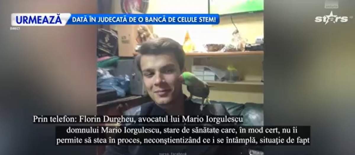 Mario Iorgulescu, captură Antena Stars