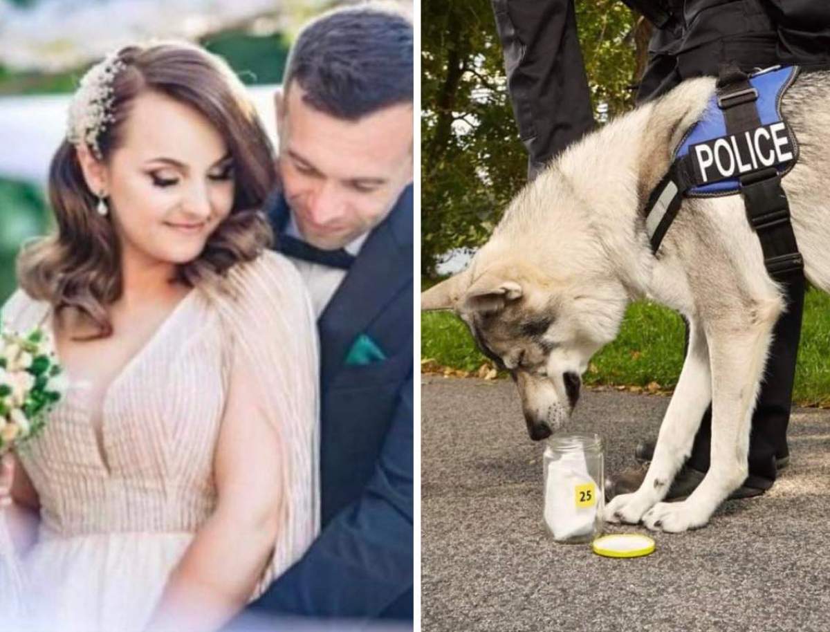 Criminalul din Bran, găsit de cățelușa Bata Criminalul din Bran, găsit de cățelușa Bata