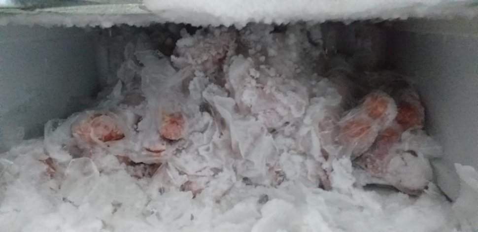 Bătrâni din Bistrița-Năsăud, hrăniți cu carne mucegăită la un cămin! Inspectorii de la Protecția Consumatorului au aplicat sancțiuni de 30.000 lei / FOTO